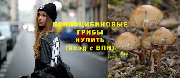 СК Алзамай