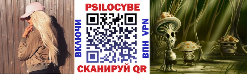 Псилоцибиновые грибы Cubensis  Орехово-Зуево 